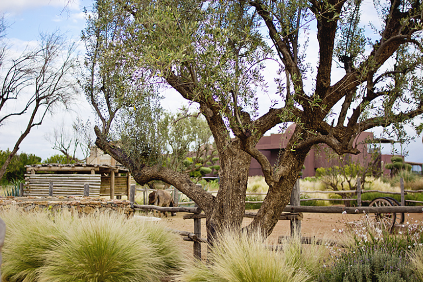 turismo social marrakech, viajes a marruecos, yosíquesé