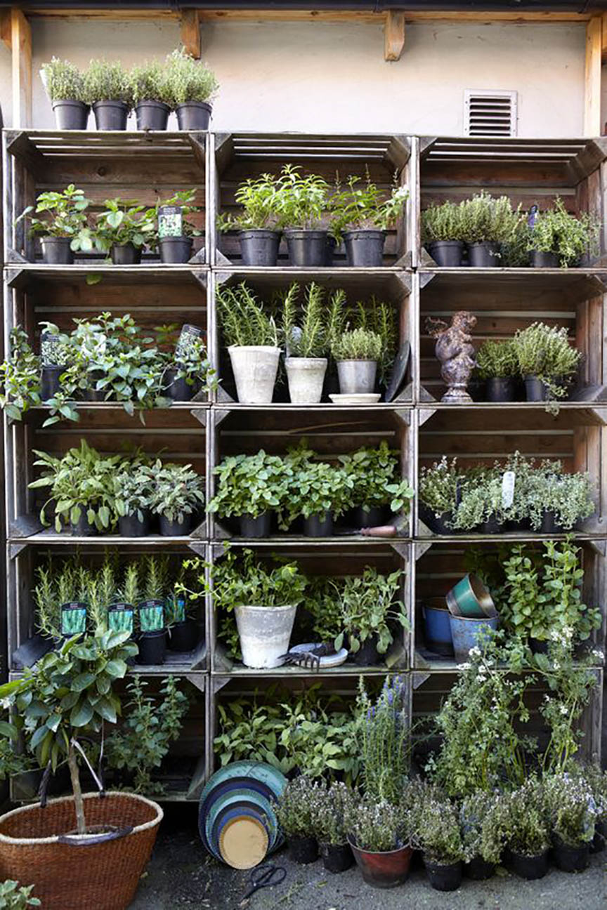 arreglos florales, yosíquesé