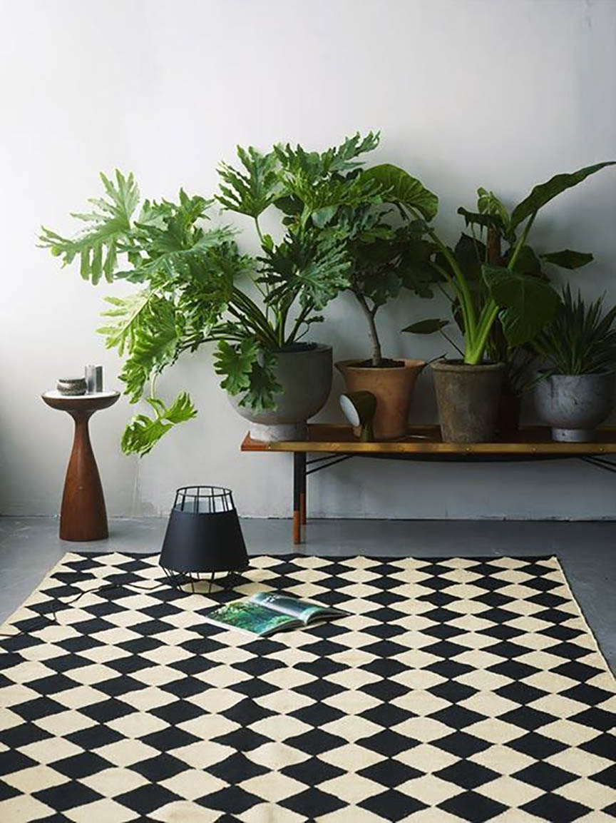 plantas en decoración, yosíquesé